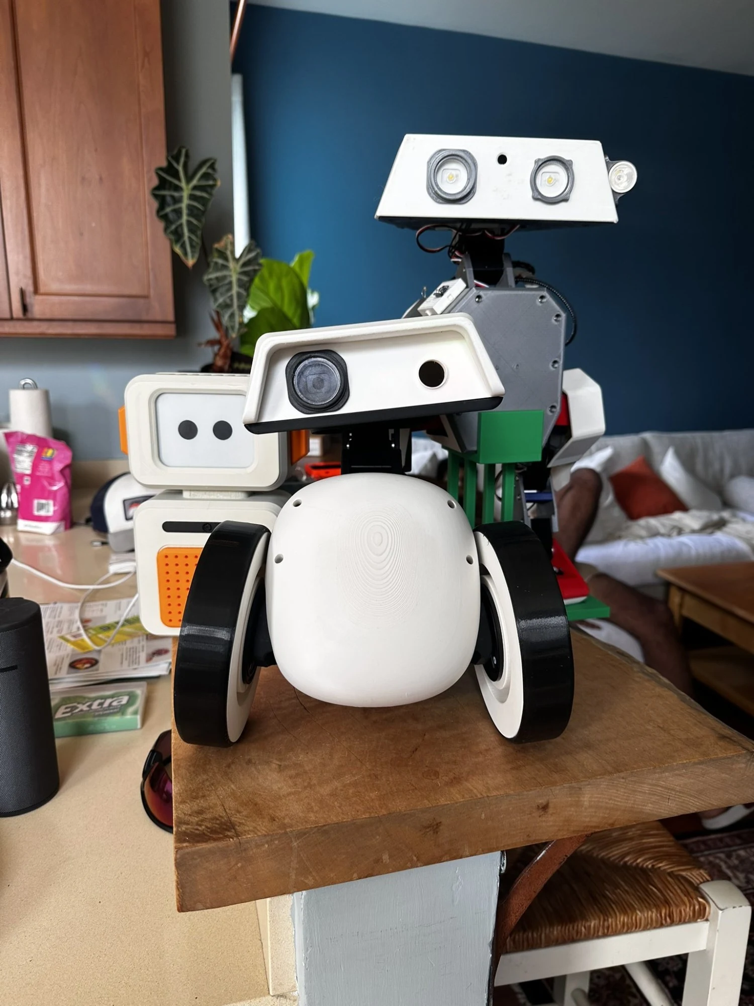Companion Robots: Disney-inspired droid → chore-doing variant